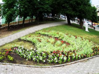 В Луганске появился цветочный «голубь мира» 