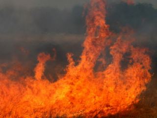 В Антрацитовском районе сгорело 8 га посевов 