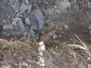 В Луганской области недалеко от ДК нашли авиабомбу 