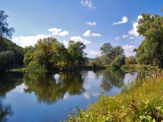 В Северском Донце утонул житель Луганской области