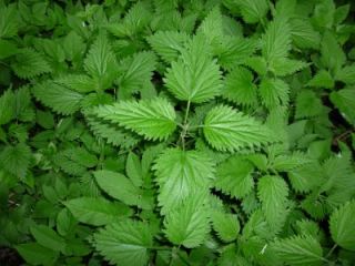 В этот день стоит ожидать мелких неприятностей