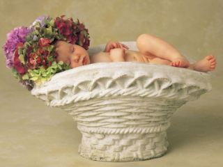 Вчера в Луганске родилось мальчиков и девочек поровну