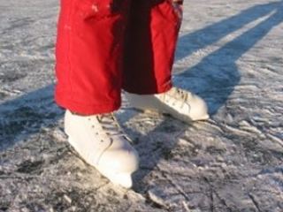 В Луганске обсудят строительство Ледового дворца