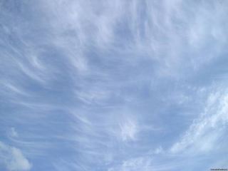 Погода в Луганске пасмурно днем будет дождь