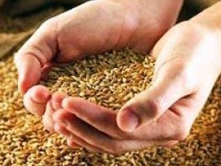 Аграрии Луганской области уже собрали  запланированого урожая