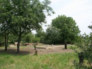 Владимир Медяник начнет строительство детских площадок на Краснодонщине с поселка Таловое