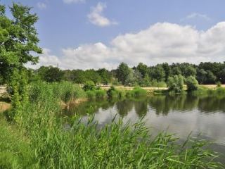В Северском Донце утонул молодой парень