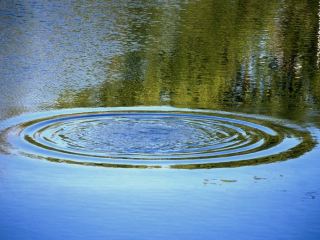 В Луганской области утонули трое пенсионеров