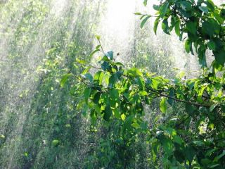 Погода в Луганске на завтра  июля дождь