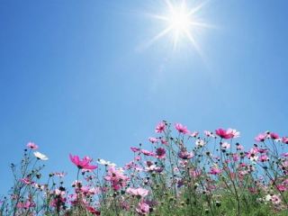 Погода в Луганске на завтра, 19 июля: ясно