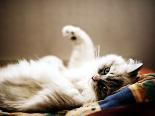 Этот день лучше всего провести дома 