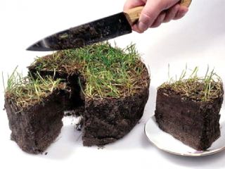 В Запорожской области сельский голова изза земельного участка заживо похоронил луганчанку