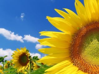 Погода в Луганске на завтра  июля С