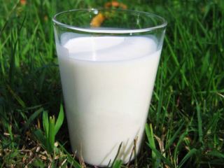 Замминистра аграрной политики считает что сельские кооперативы решат проблему заниженных цен на молоко