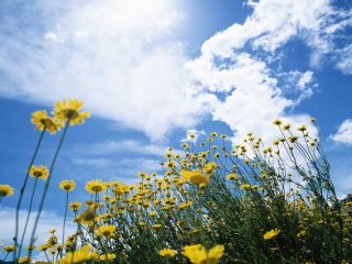 Погода в Луганске солнечно