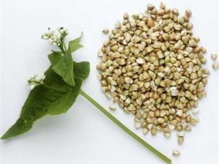 В Луганской области зафиксированы самые высокие цены на гречиху