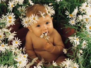 За сутки в Луганске появилось на свет  детей