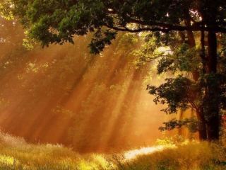 Погода в Луганске на завтра  июля без осадков