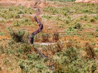 В Луганской области ликвидировали трубопровод контрабандного топлива