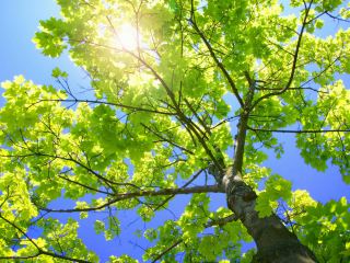 Погода в Луганске на завтра  июля С