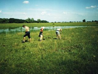 На Луганщине обнаружили поселения кочевниковземледельцев