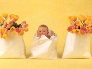 На выходных в Луганске родилось мальчиков и девочек поровну