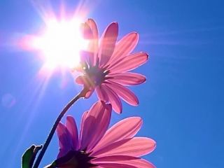 Погода в Луганске на завтра, 31 июля: без осадков