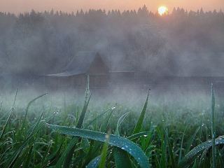 Погода в Луганске С