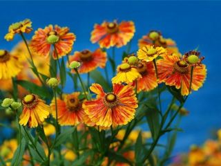 Погода в Луганске на завтра  августа С