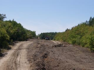 Сотрудники «Луганскводы» уничтожили зеленые насаждения в Перевальском районе