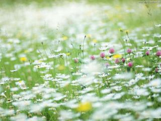 Погода в Луганске на завтра  августа С