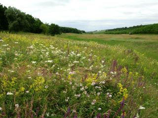 Погода в Луганске С