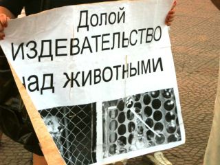 Луганчане вышли на митинг в поддержку голодающих животных «Барса»