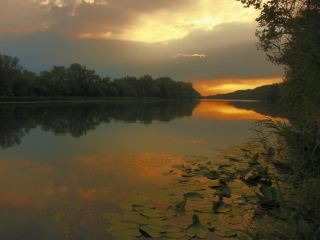 Для детей из Луганской области организовали дневный турпоход вдоль Айдара