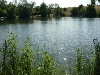 На Луганщине в ставу утонул летний парень