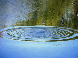 В Луганской области утонул житель ИваноФранковска приехавший на заработки