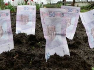 На оценку земли в Луганской области потратят  тыс грн