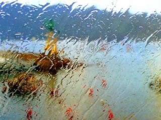 Погода в Луганске на завтра  августа С