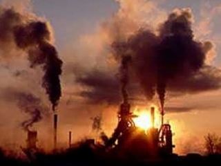 Ученые Никитского ботанического сада оказывают поддержку Алчевску