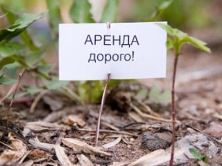 В Луганской области увеличилась средняя арендная плата за землю