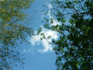 Погода в Луганске на завтра  августа С