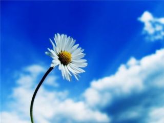 Погода в Луганске С