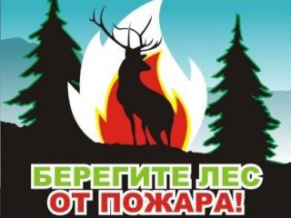 Луганские экологи оштрафовали  человека за нарушение пожарной безопасности в лесах