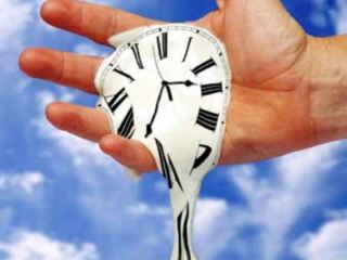 Cxidinfo  лет  г  в Луганске украли  попугаев