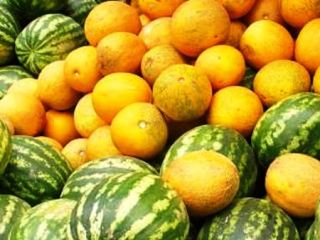 В Луганске борются с незаконной торговлей арбузами и дынями