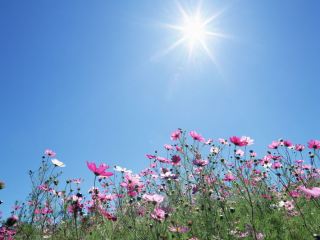 Погода в Луганске на завтра  августа ясно