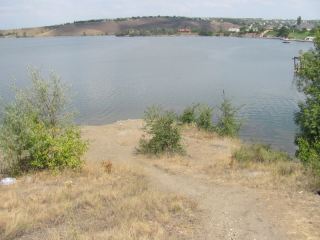 На Луганщине современные Ромео и Джульетта решили покончить с собой чтобы избежать тюрьмы