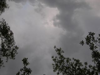 Погода в Луганске пасмурно