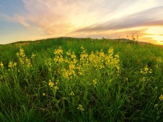 Погода в Луганске на завтра  августа С