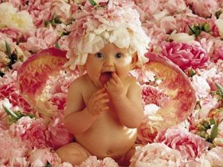 За неделю в Луганске родилось одинаковое количество мальчиков и девочек